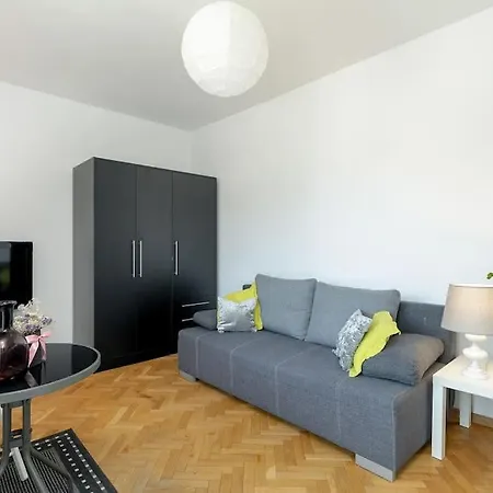 Przestronny Apartament Apartment Poznan